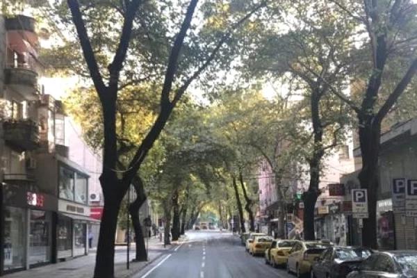 Business Property for Rent 1+1 in Tirana - 1,200 Euro