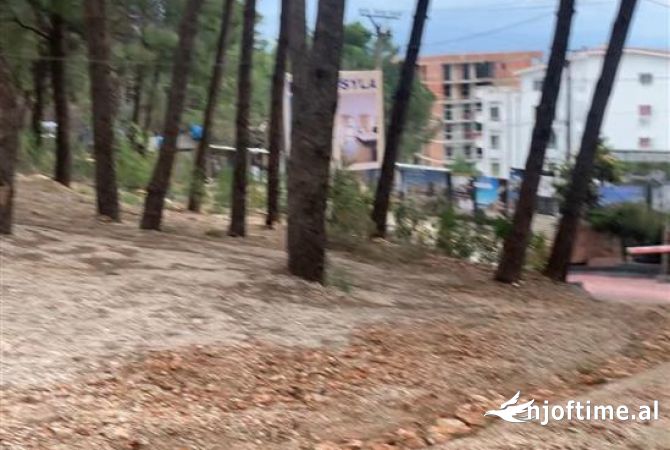 Truall ose Toke ne Lezhe - 220,000 Euro