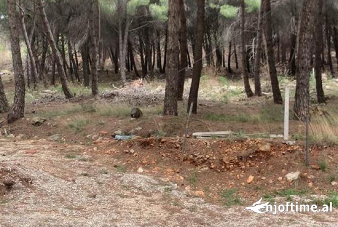 Truall ose Toke ne Lezhe - 220,000 Euro