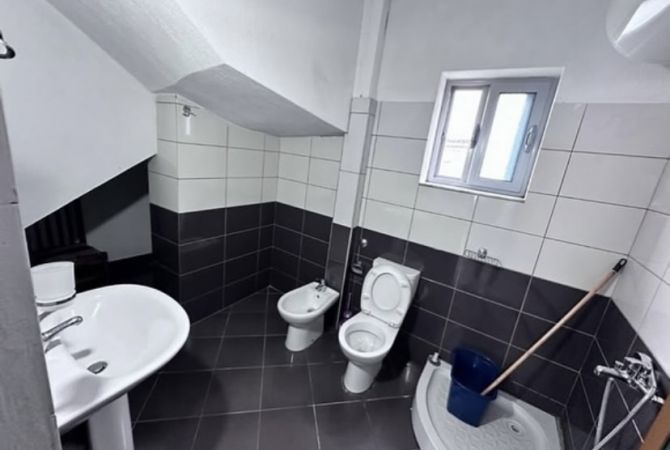 Shtepi me qera Apartament ne Tirane, 1+1, Mobilimi E mobiluar, Pagesa 300  Euro.
