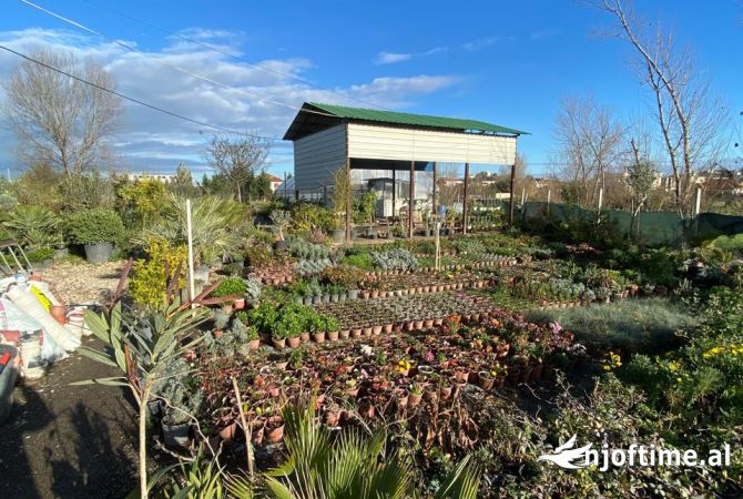 Biznese ne shitje ne Durres - 21,000 Euro