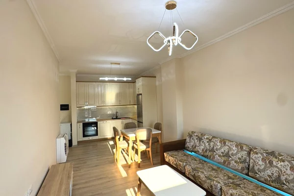 Shtepi me qera Apartament ne Tirane, 1+1, Mobilimi E mobiluar, Pagesa 50,000  Leke.