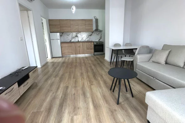 House for Rent 1+1 in Tirana - 600 Euro