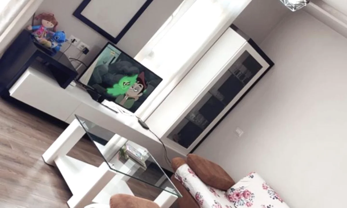 Shtepi me qera Apartament ne Tirane, 2+1, Mobilimi E mobiluar, Pagesa 500  Euro.