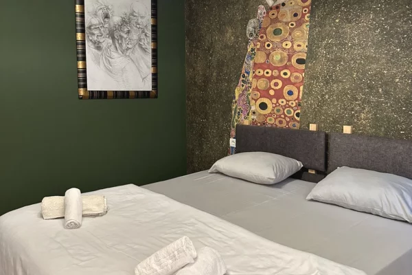 Shtepi me qera 1+1 ne Tirane - 50,000 Leke