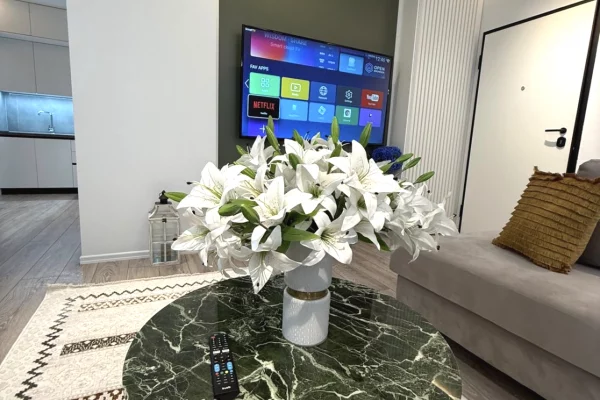 House for Rent 1+1 in Tirana - 580 Euro