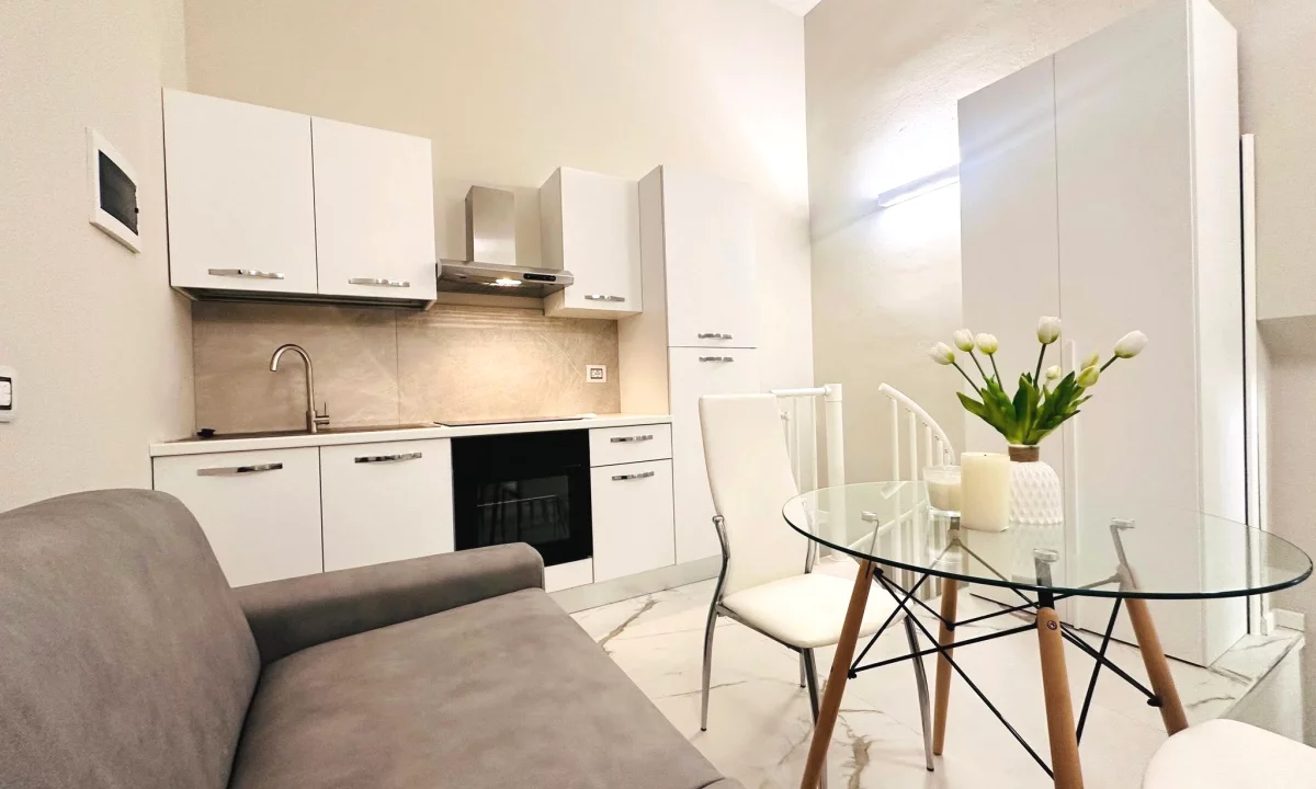 Shtepi me qera Apartament ne Tirane, Garsoniere, Mobilimi E mobiluar, Pagesa 330  Euro.