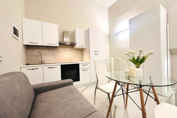 Shtepi me qera Garsoniere ne Tirane - 330 Euro