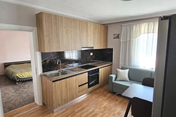 Shtepi me qera 1+1 ne Tirane - 50,000 Leke