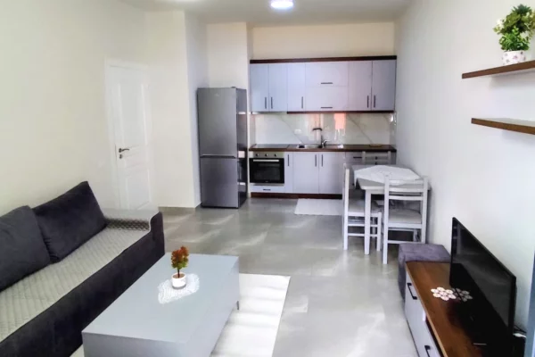 Shtepi me qera 1+1 ne Tirane - 50,000 Leke