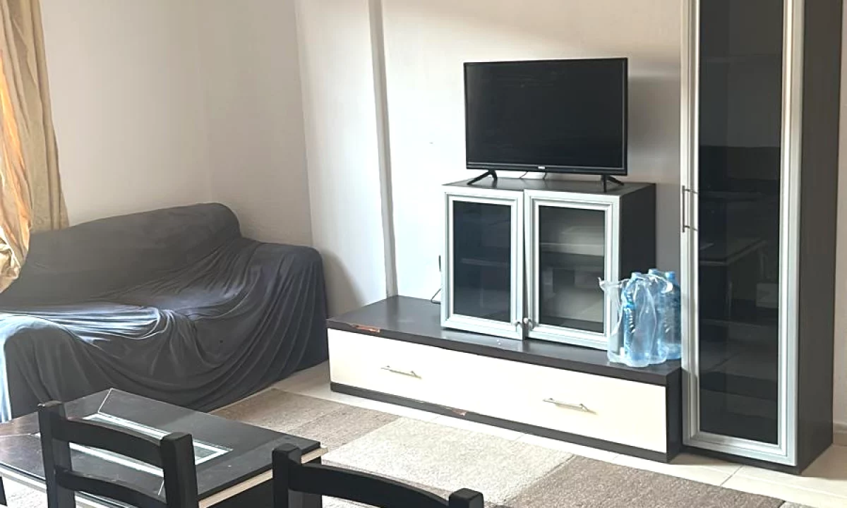 Shtepi me qera Apartament ne Tirane, 1+1, Mobilimi E mobiluar, Pagesa 45,000  Leke.