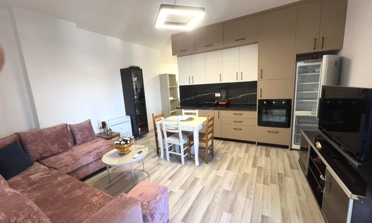 Shtepi me qera Apartament ne Tirane, 1+1, Mobilimi E mobiluar, Pagesa 500  Euro.