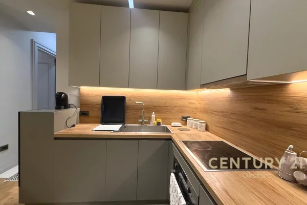 Appartamento in affitto a Tirana 1+1, Arredato