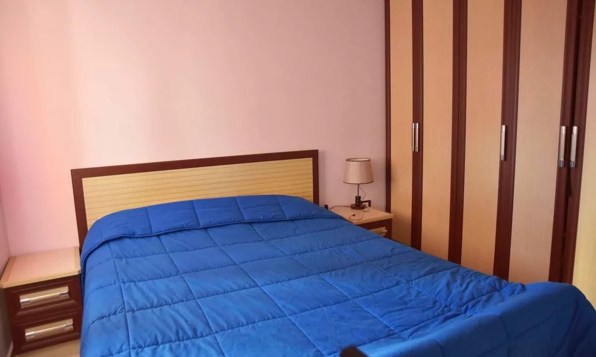Shtepi me qera Apartament ne Tirane, 1+1, Mobilimi E mobiluar, Pagesa 38,000  Leke.
