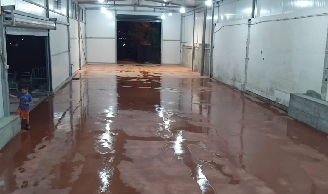 Kapanon me Qira ne Prush !!!