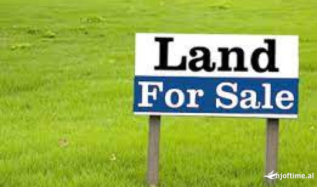 Shitet 1000 toke, ne Kamez