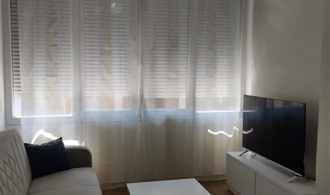 Shtepi me qera Apartament ne Tirane, 1+1, Mobilimi E mobiluar, Pagesa 300  Euro.