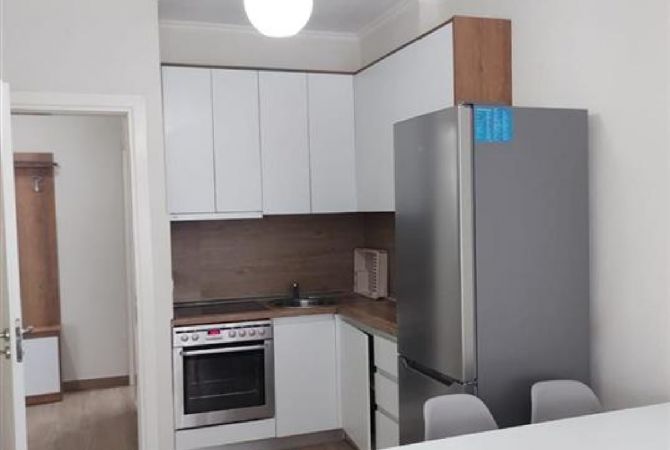 Shtepi me qera Apartament ne Tirane, 1+1, Mobilimi E mobiluar, Pagesa 300  Euro.