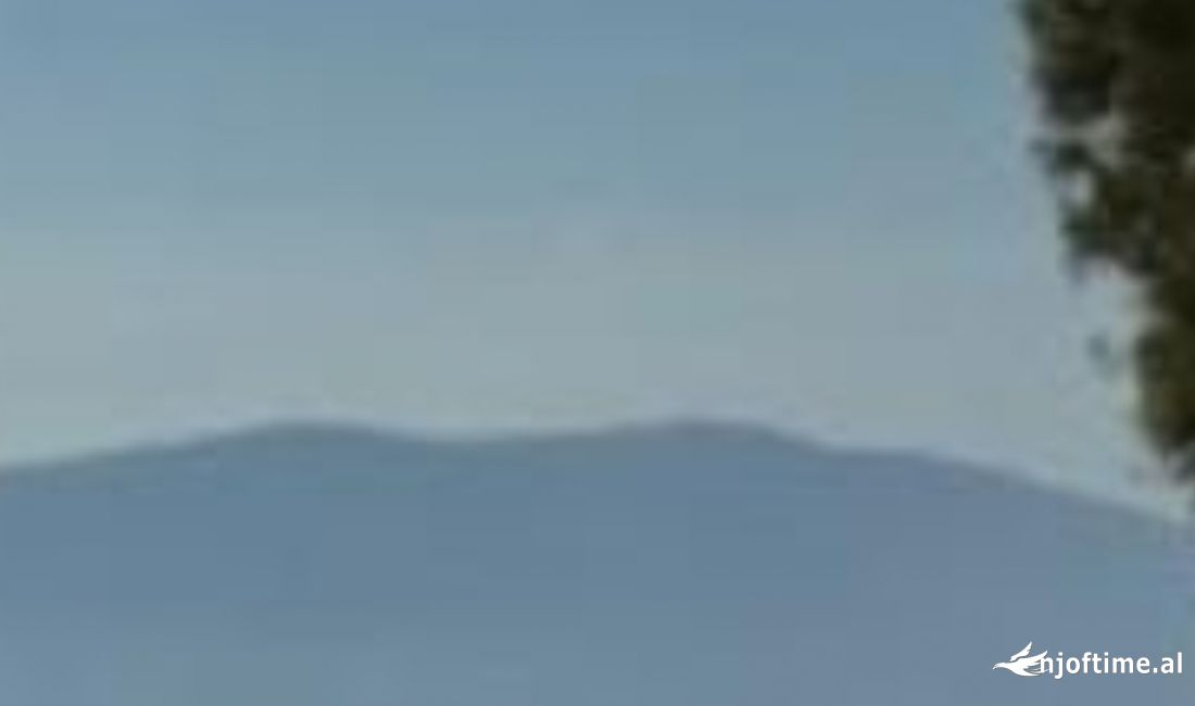 Shtepi me qera Apartament ne Vlore, 2+1, Mobilimi E mobiluar, Pagesa 600  Euro.