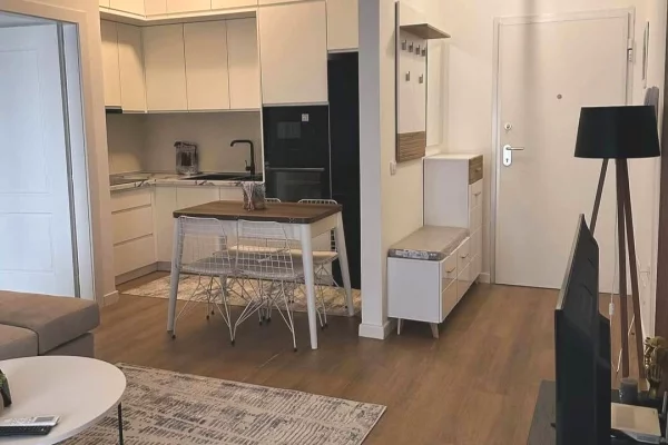 Shtepi me qera Apartament ne Tirane, 1+1, Mobilimi E mobiluar, Pagesa 500  Euro.