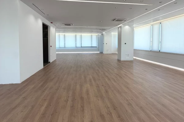 📌 AMBIENT BIZNESI ME QIRA – DELIJORGJI