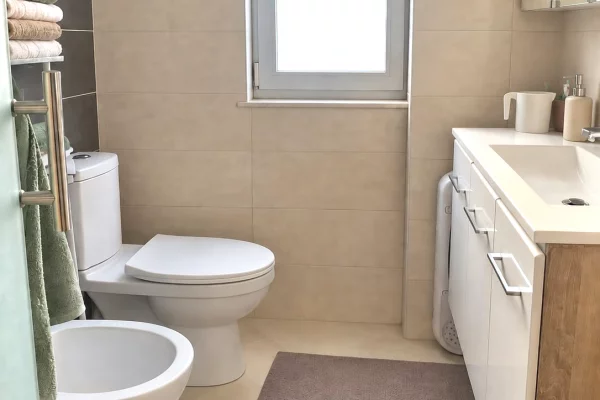 Shtepi me qera Apartament ne Tirane, 1+1, Mobilimi E mobiluar, Pagesa 50,000  Leke.