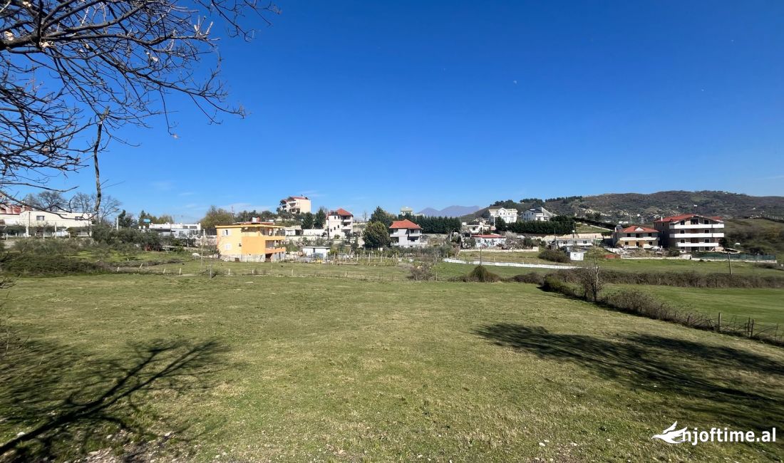 SHITET TOKE NE VAQARR!!