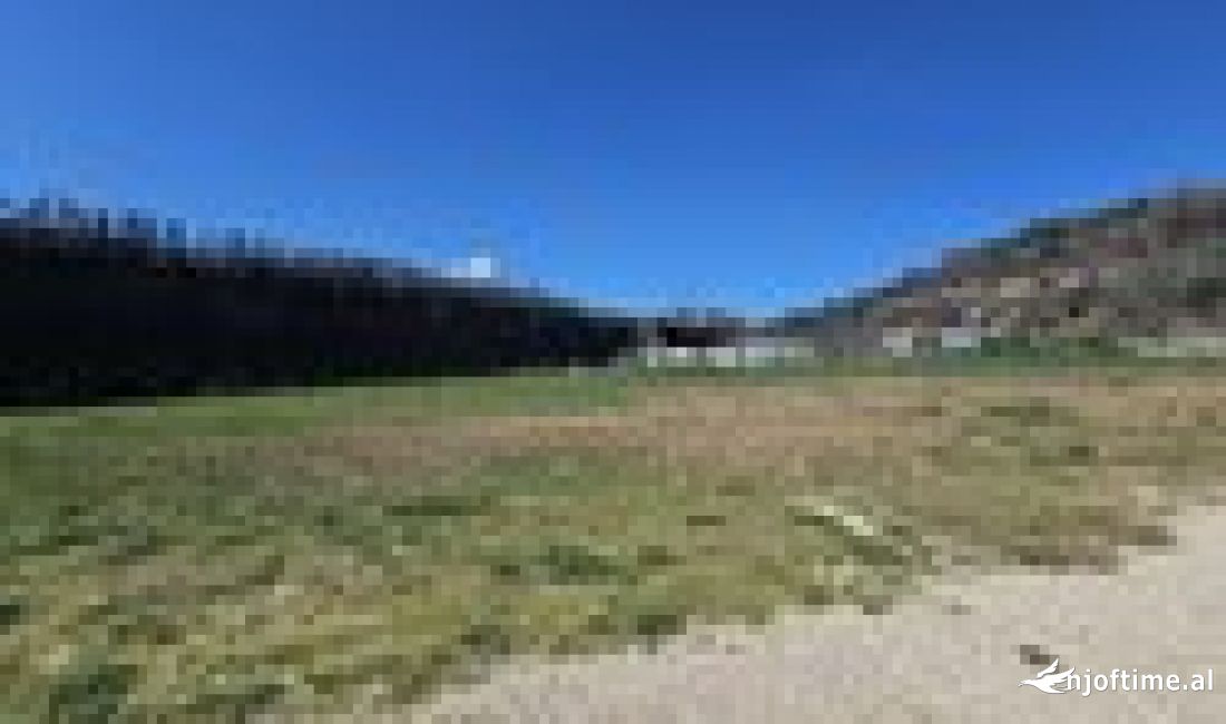 Toke njolle e kuqe per shitje ne Mullet 