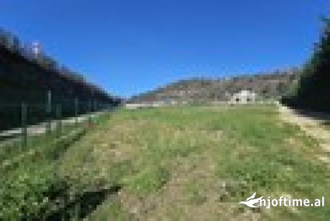 Truall ose Toke ne Tirane - 448,000 Euro