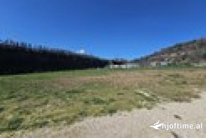 Toke njolle e kuqe per shitje ne Mullet 