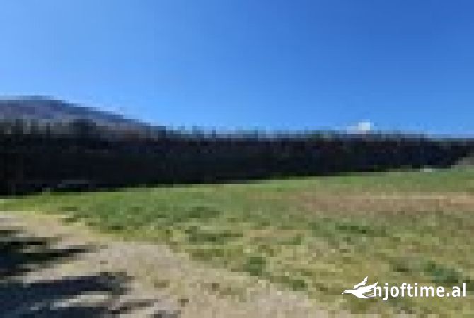 Truall ose Toke ne Tirane - 448,000 Euro