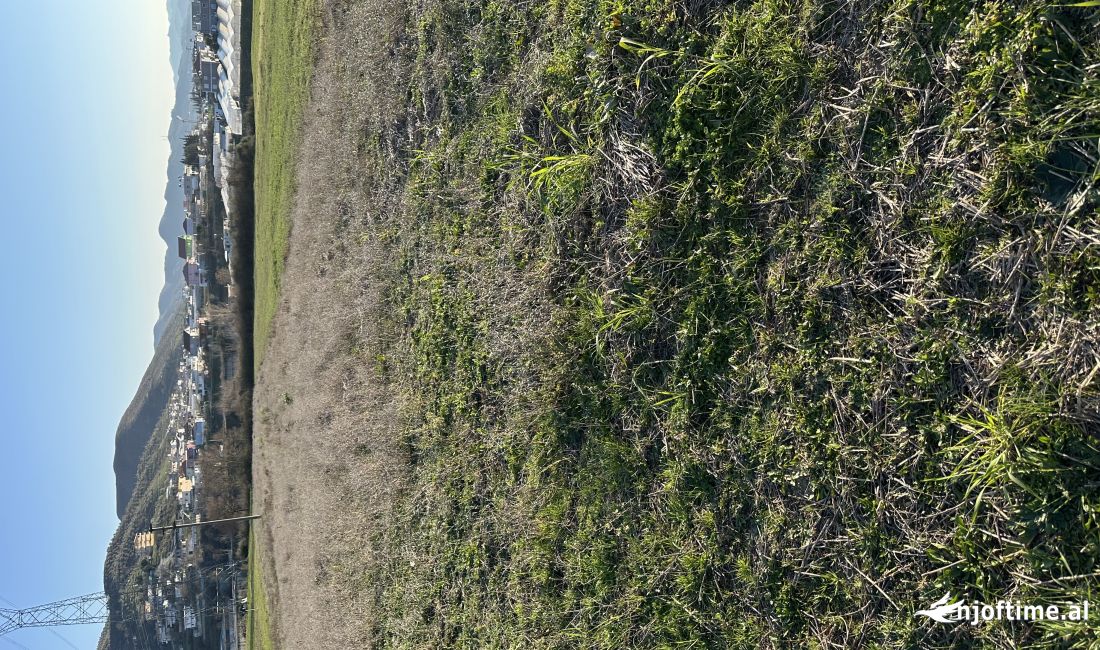 Shitet 9 dynym toke, Vaqarr, Tirane (60Euro/m2).