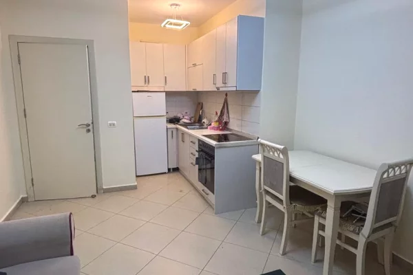 Shtepi me qera 1+1 ne Tirane - 500 Euro