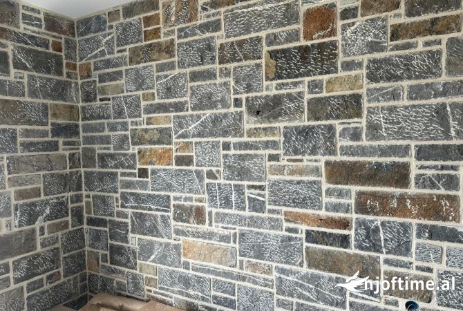 Construction and Restructurings in Tirana - 100 Euro