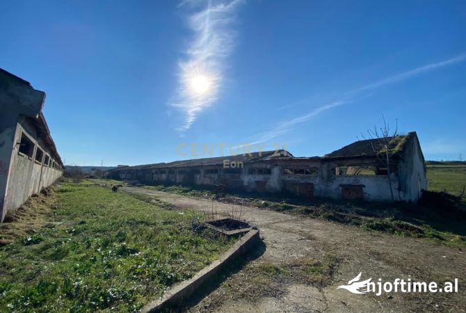 SUPER OKAZION , SHITEN KAPANONE DHE TOKE ME SIPERFAQJE 9833 M2 NE XHAFZOTAJ, DURRES! 750,000 Euro