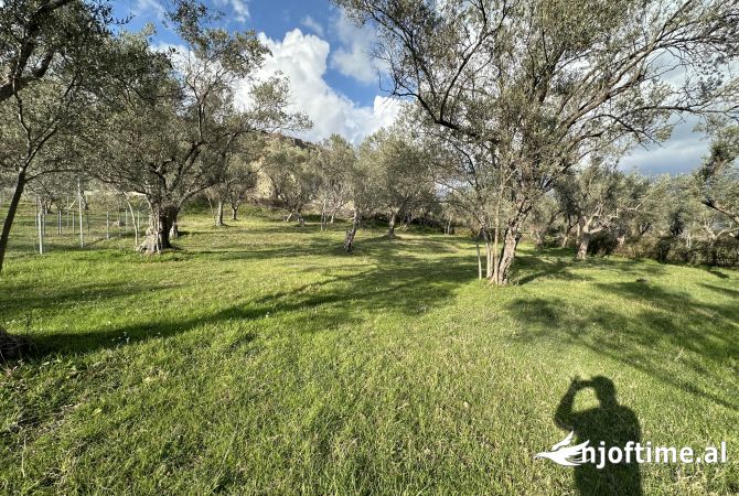 Land for Sale in Tirana - 360,000 Euro
