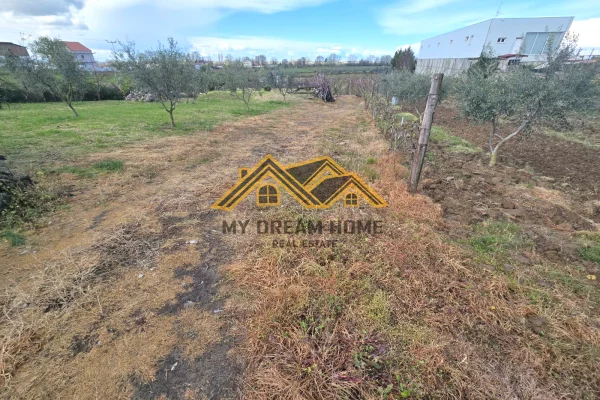 Shitet Toke Are ne Shkafan Gjirin e Lalzit