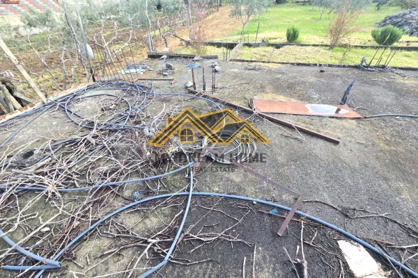 Shitet Toke Are ne Shkafan Gjirin e Lalzit