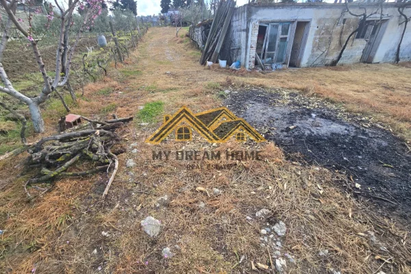 Shitet Toke Are ne Shkafan Gjirin e Lalzit