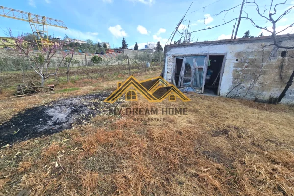 Shitet Toke Are ne Shkafan Gjirin e Lalzit