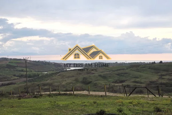 SHITET TOKE ARE NE ARAPAJ