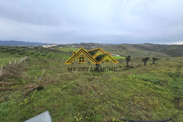 SHITET TOKE ARE NE ARAPAJ