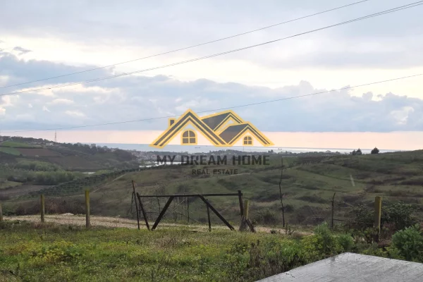 SHITET TOKE ARE NE ARAPAJ