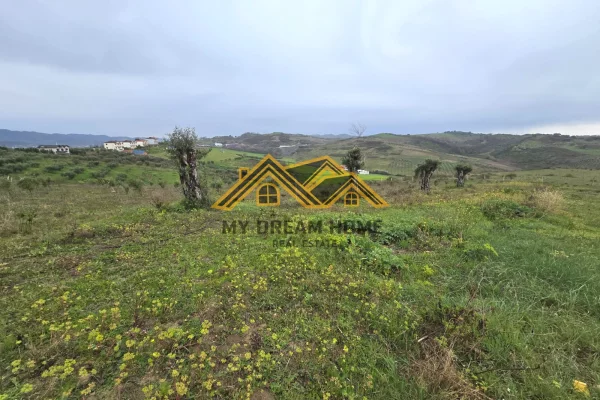 SHITET TOKE ARE NE ARAPAJ