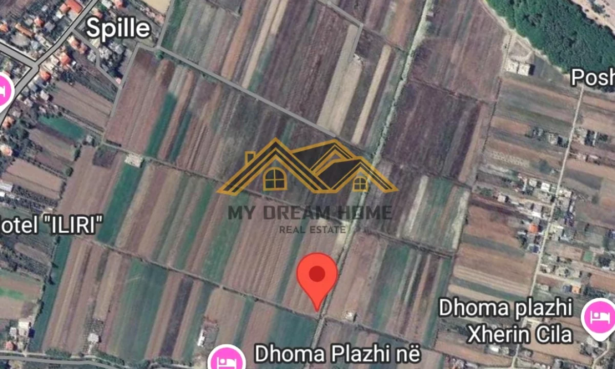 SHITET TOKE NE SPILLE,KAVAJE!