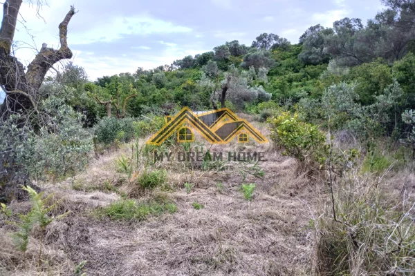 TOKE ME PAMJE DETI NE KARPEN KAVAJE, PER SHITJE !