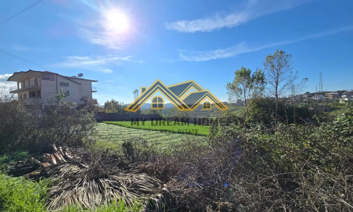 SHITET TOKE NE ARAPAJ DURRES