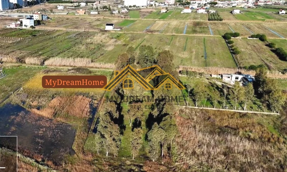 Shitet Toke ne Qerret