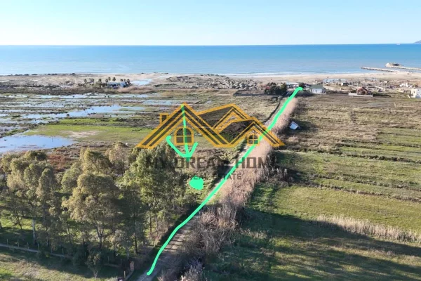 Shitet Toke ne Qerret