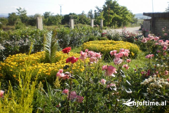 Villa di lusso in vendita a Elbasan 6+1, SemiArredato